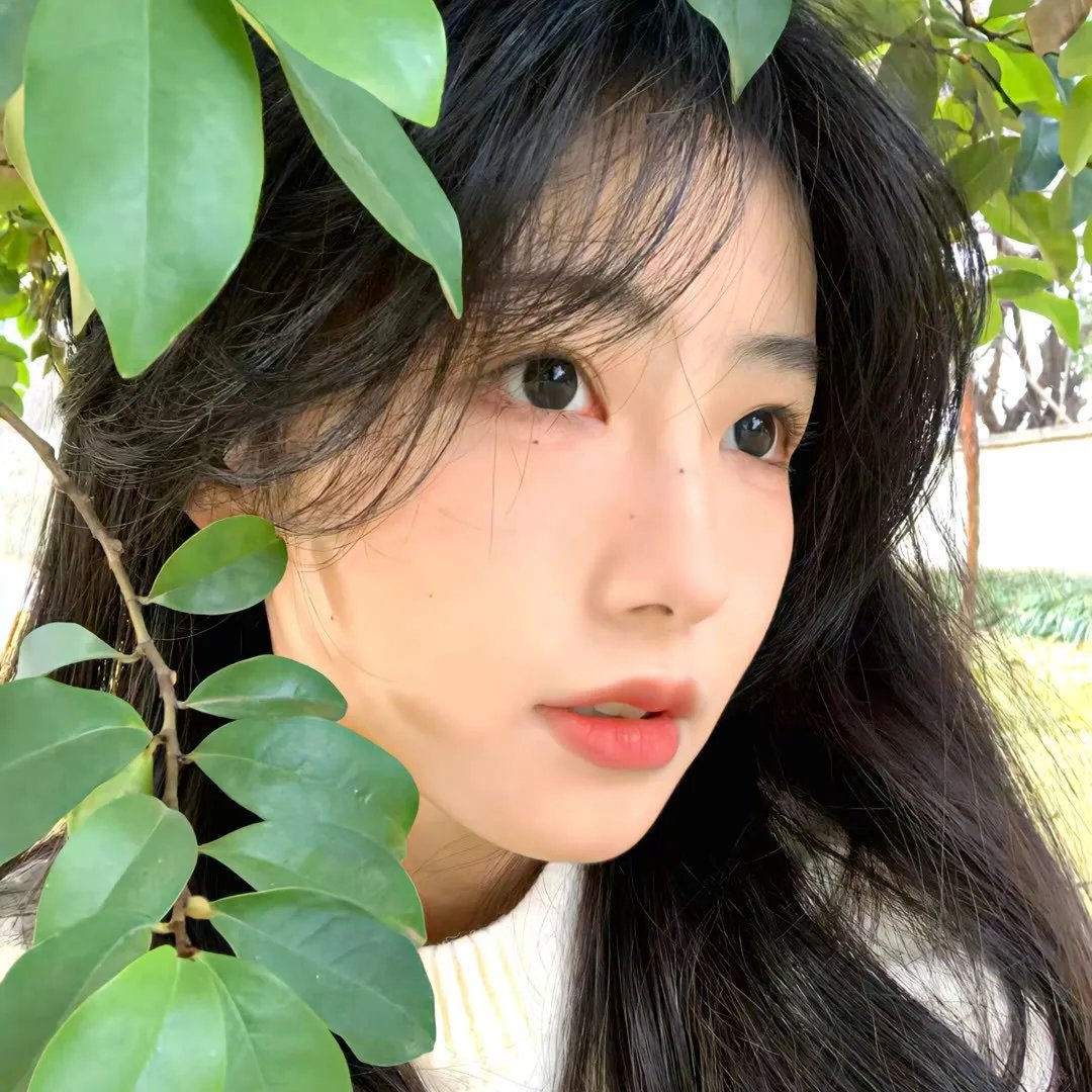 马钱