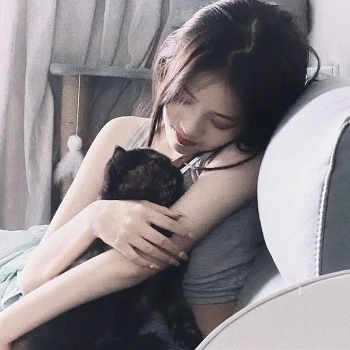 猫侍 第二季
